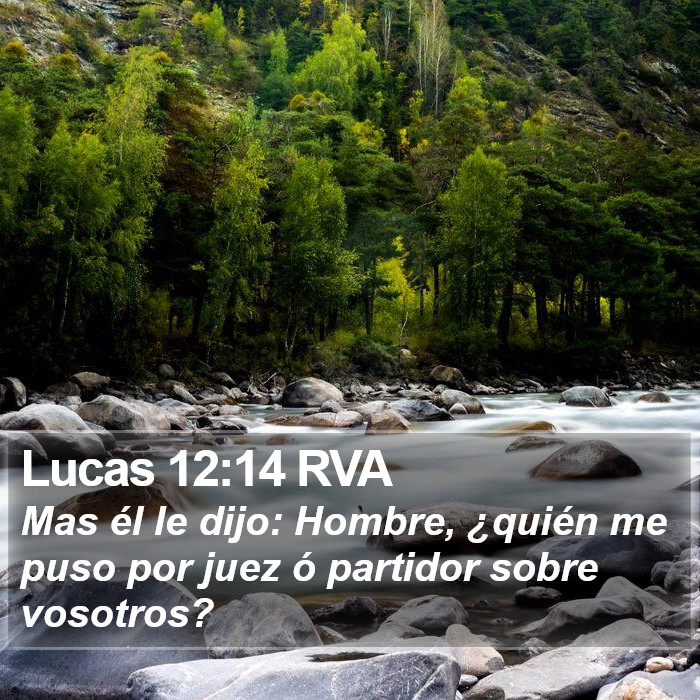 Lucas 12:14 RVA Bible Study