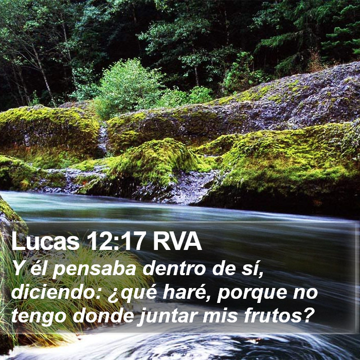 Lucas 12:17 RVA Bible Study