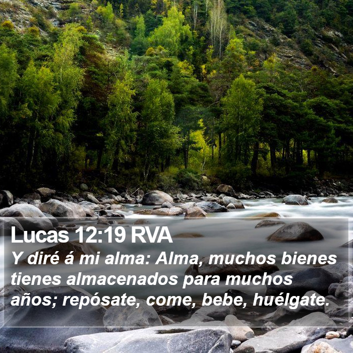 Lucas 12:19 RVA Bible Study