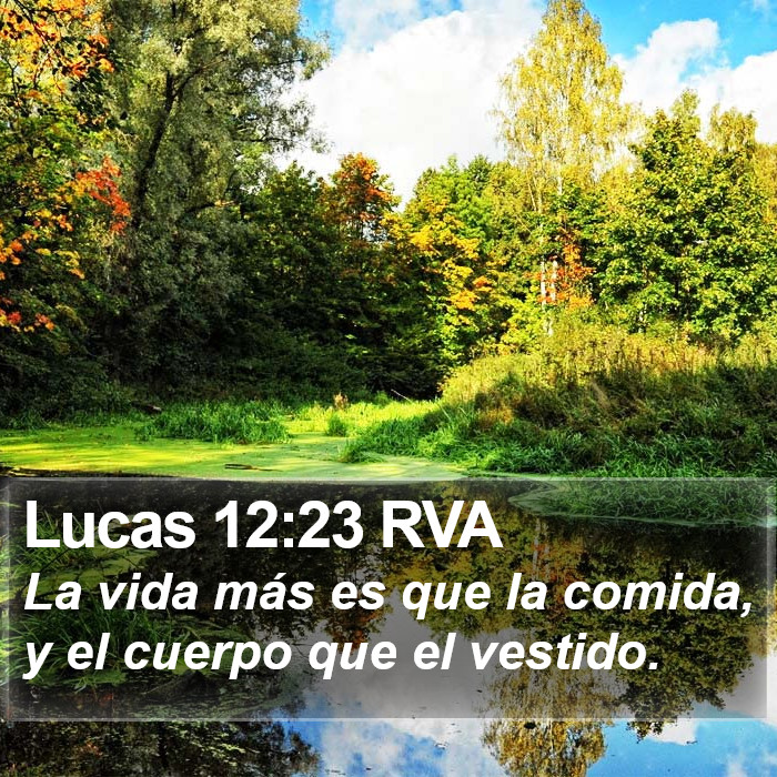 Lucas 12:23 RVA Bible Study