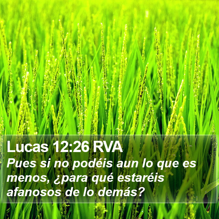 Lucas 12:26 RVA Bible Study