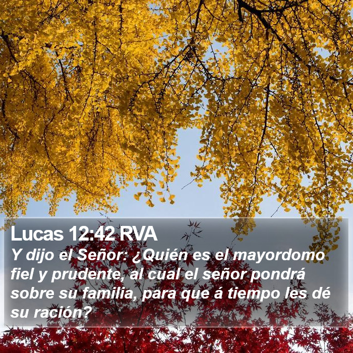 Lucas 12:42 RVA Bible Study