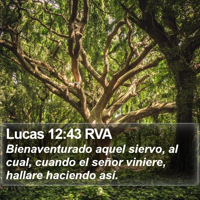 Lucas 12:43 RVA Bible Study