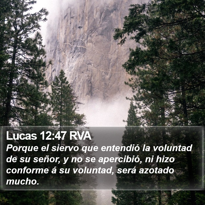 Lucas 12:47 RVA Bible Study