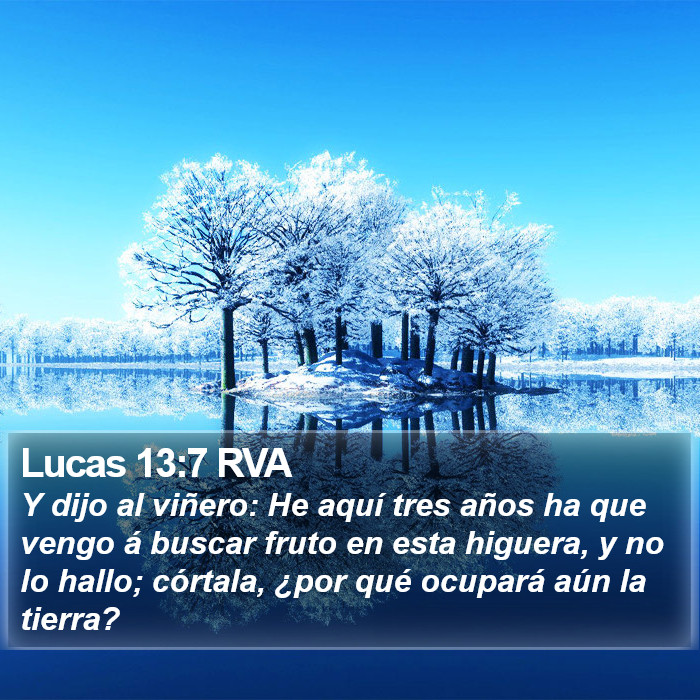 Lucas 13:7 RVA Bible Study