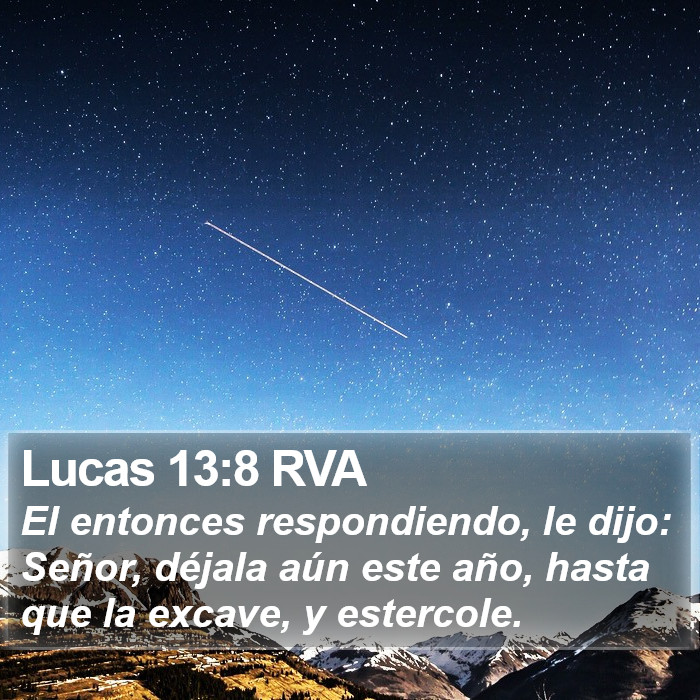 Lucas 13:8 RVA Bible Study