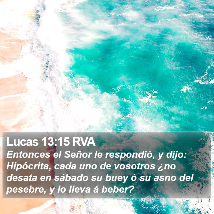 Lucas 13:15 RVA Bible Study