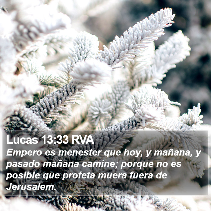 Lucas 13:33 RVA Bible Study