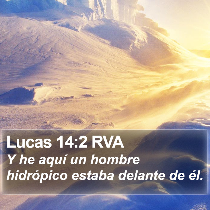 Lucas 14:2 RVA Bible Study