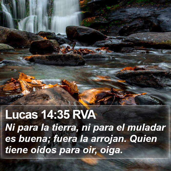 Lucas 14:35 RVA Bible Study