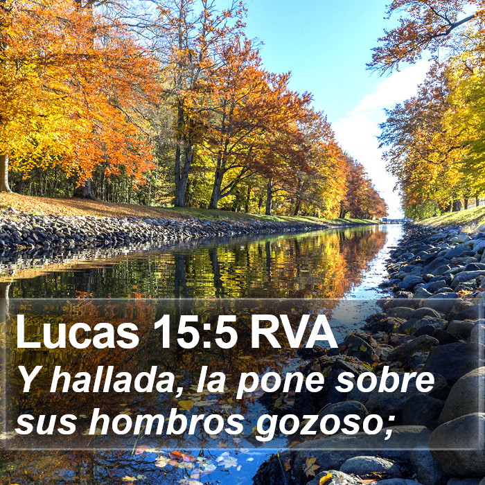 Lucas 15:5 RVA Bible Study