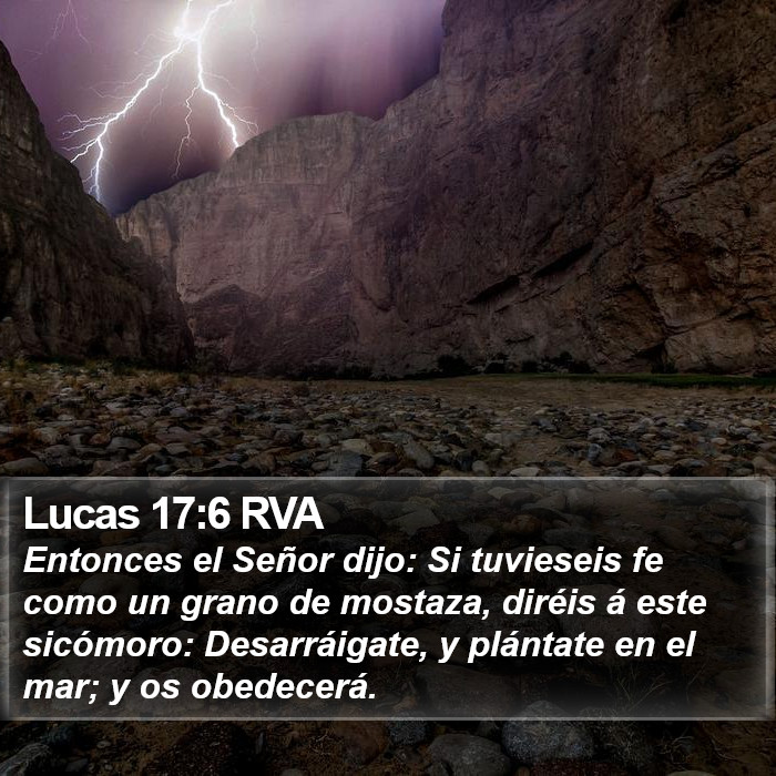 Lucas 17:6 RVA Bible Study