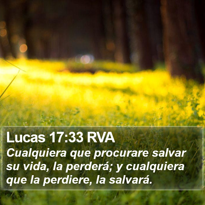 Lucas 17:33 RVA Bible Study