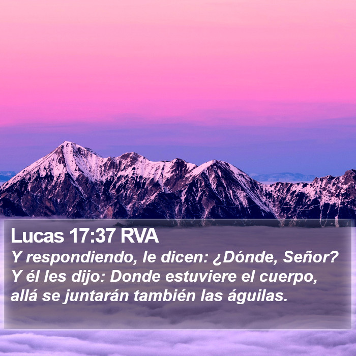 Lucas 17:37 RVA Bible Study