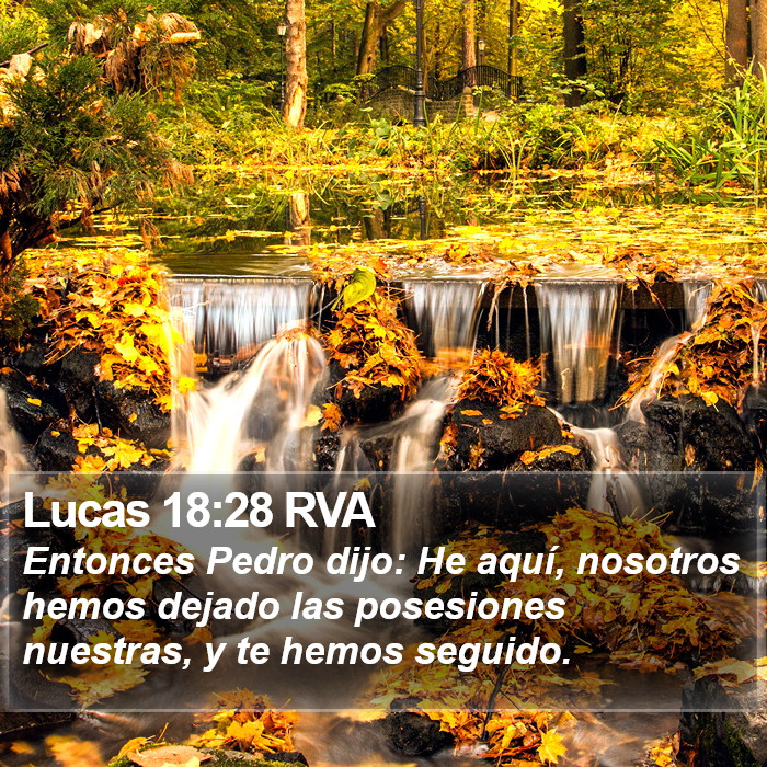 Lucas 18:28 RVA Bible Study