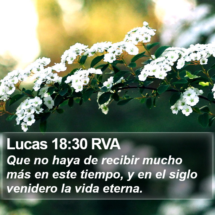 Lucas 18:30 RVA Bible Study