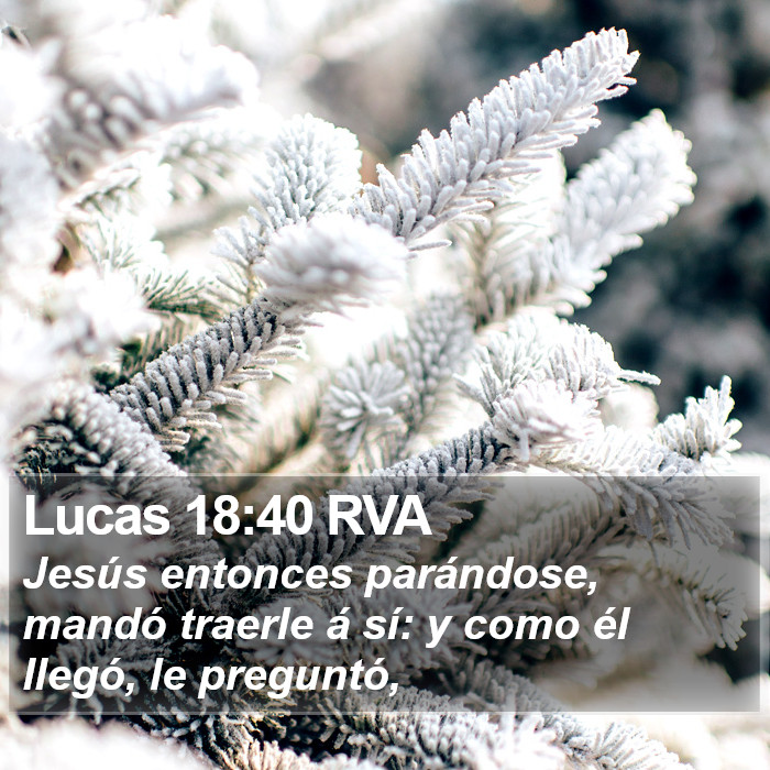 Lucas 18:40 RVA Bible Study