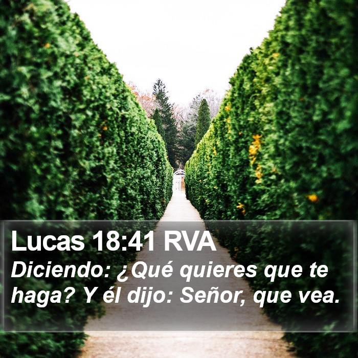 Lucas 18:41 RVA Bible Study