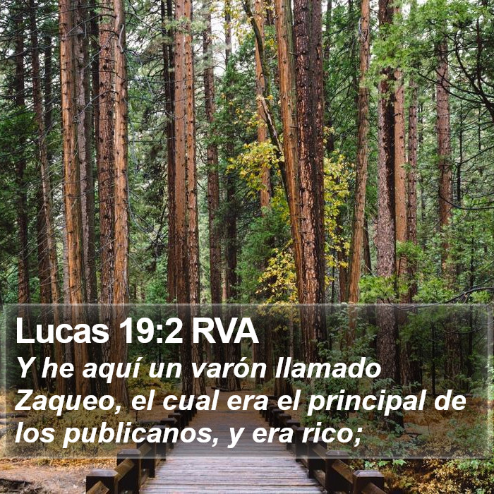 Lucas 19:2 RVA Bible Study