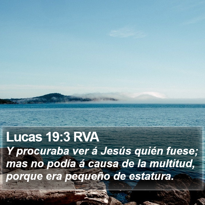 Lucas 19:3 RVA Bible Study