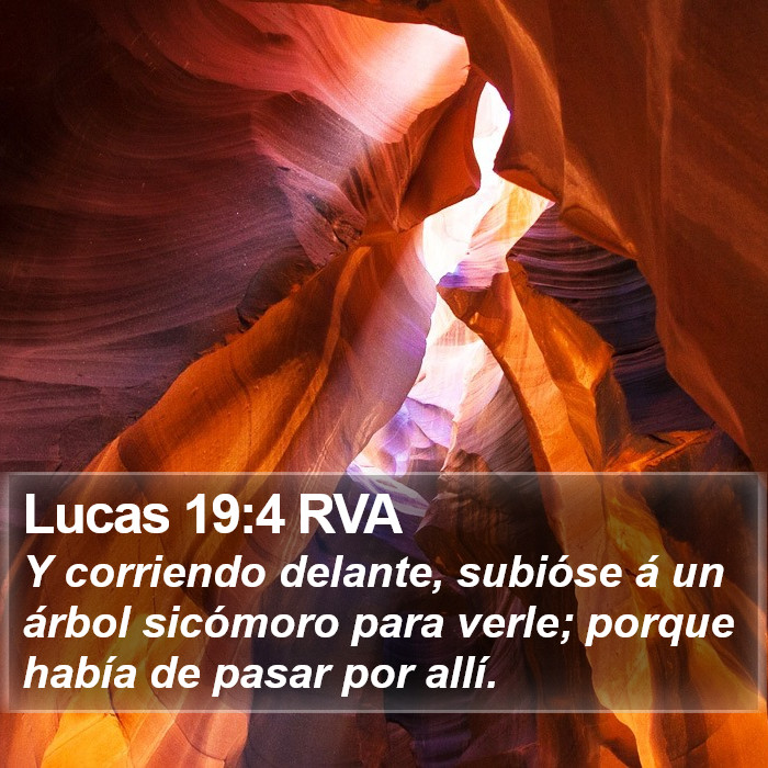 Lucas 19:4 RVA Bible Study