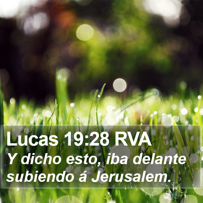 Lucas 19:28 RVA Bible Study