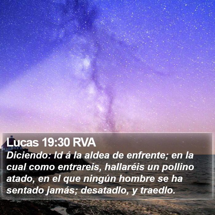 Lucas 19:30 RVA Bible Study