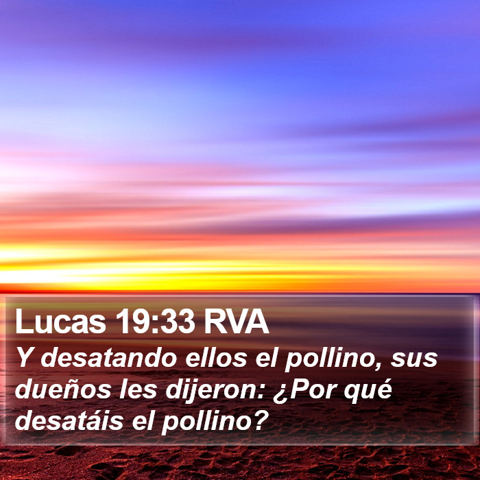 Lucas 19:33 RVA Bible Study