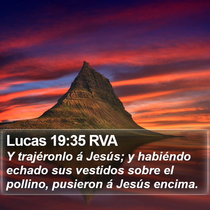 Lucas 19:35 RVA Bible Study