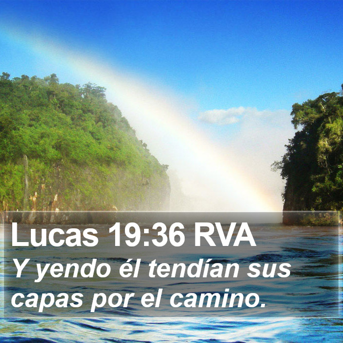 Lucas 19:36 RVA Bible Study