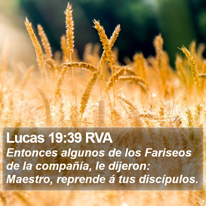 Lucas 19:39 RVA Bible Study