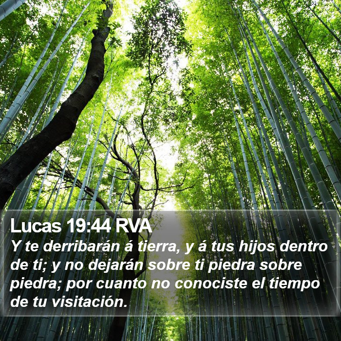 Lucas 19:44 RVA Bible Study