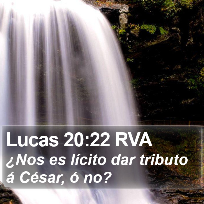 Lucas 20:22 RVA Bible Study