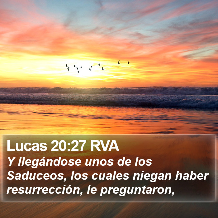 Lucas 20:27 RVA Bible Study