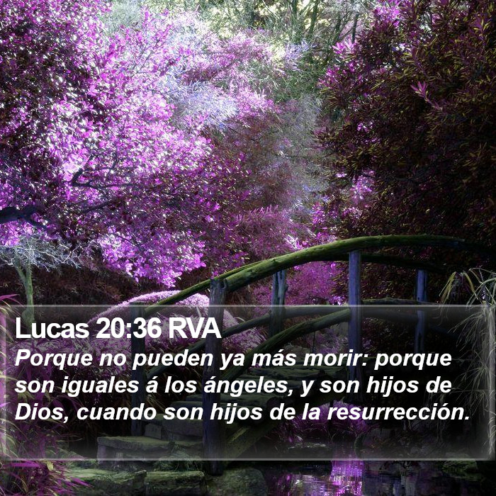 Lucas 20:36 RVA Bible Study