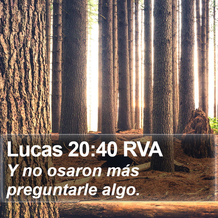 Lucas 20:40 RVA Bible Study