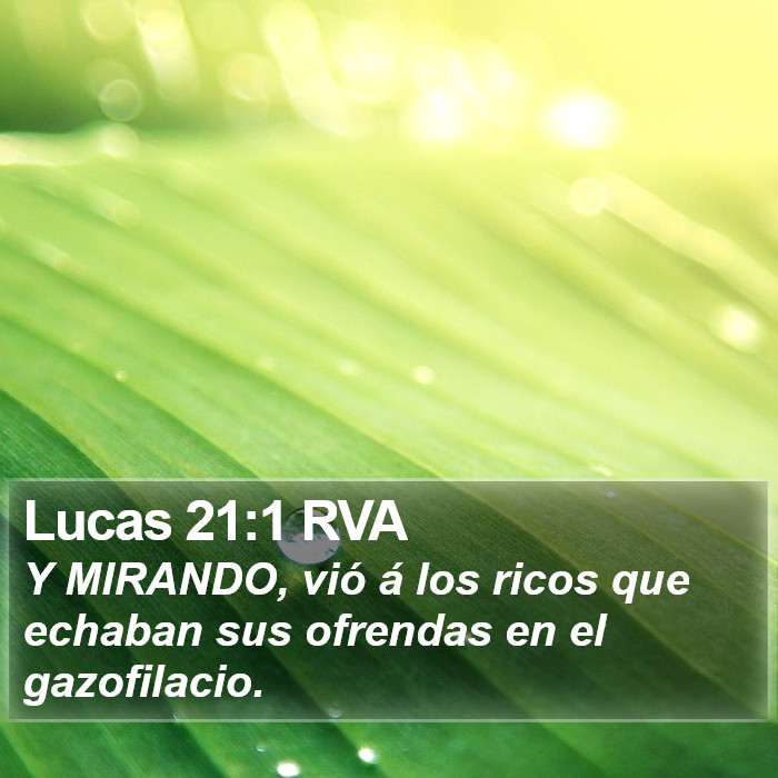 Lucas 21:1 RVA Bible Study