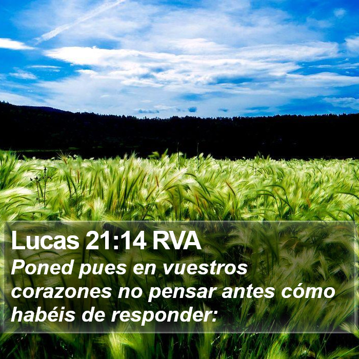 Lucas 21:14 RVA Bible Study