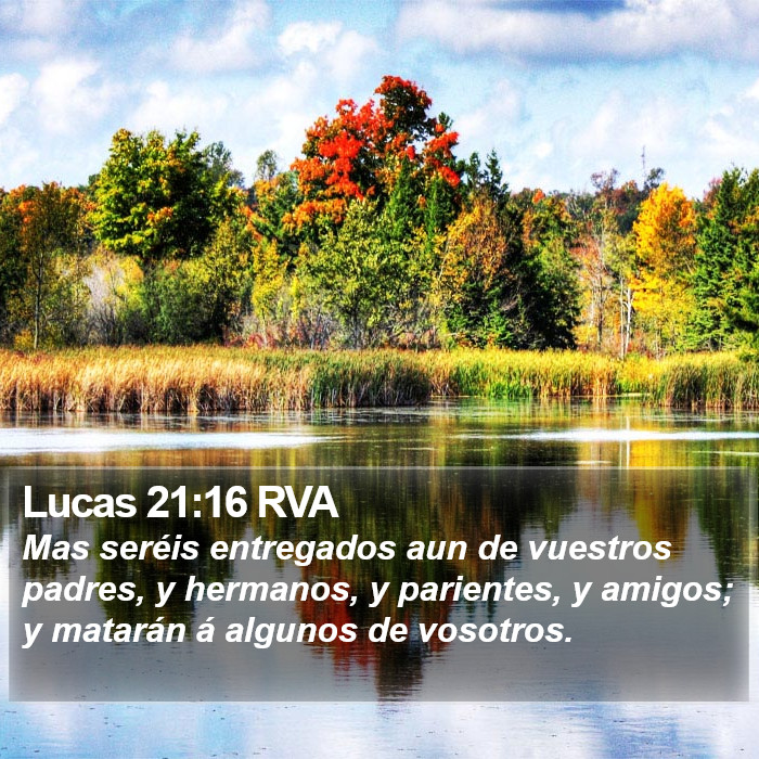 Lucas 21:16 RVA Bible Study