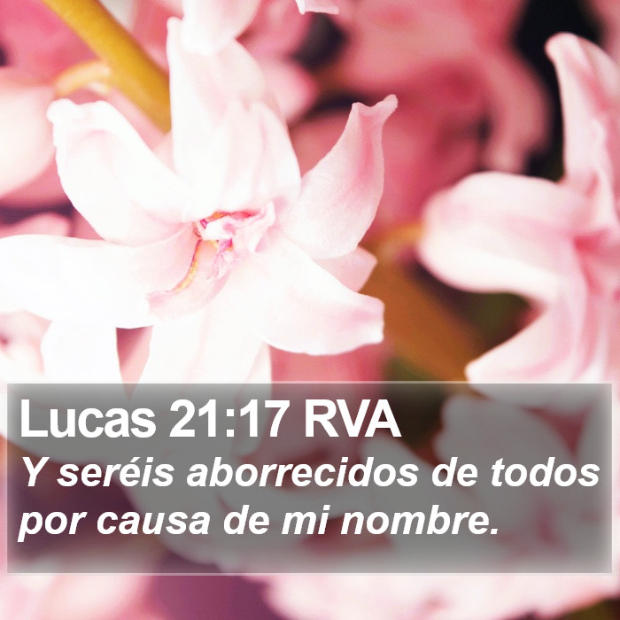 Lucas 21:17 RVA Bible Study