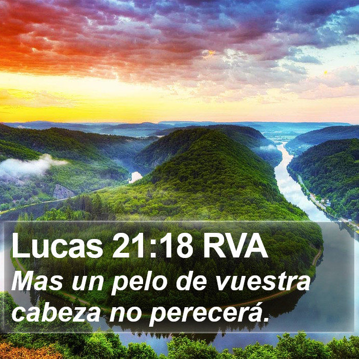 Lucas 21:18 RVA Bible Study