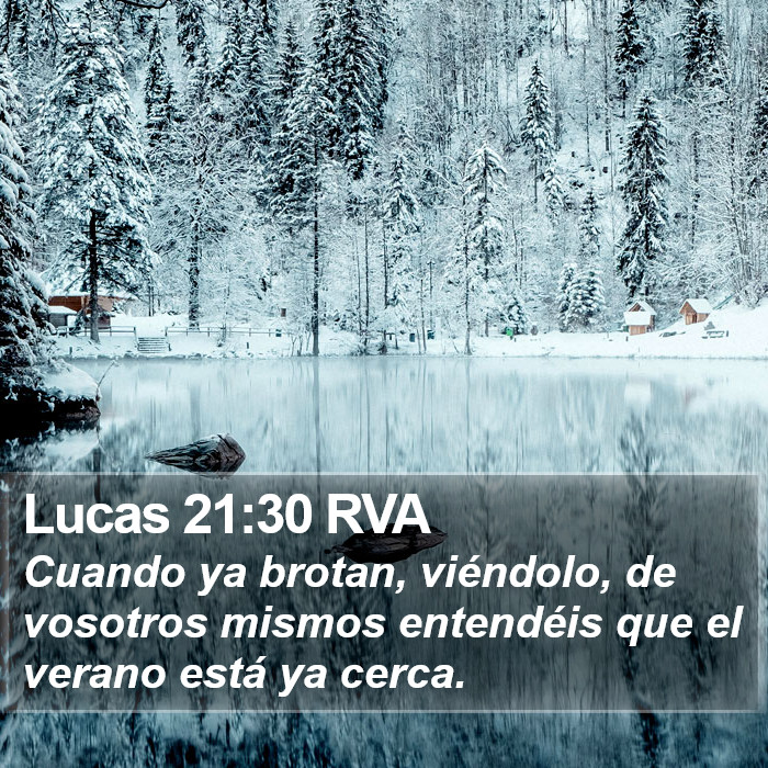 Lucas 21:30 RVA Bible Study