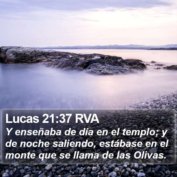 Lucas 21:37 RVA Bible Study