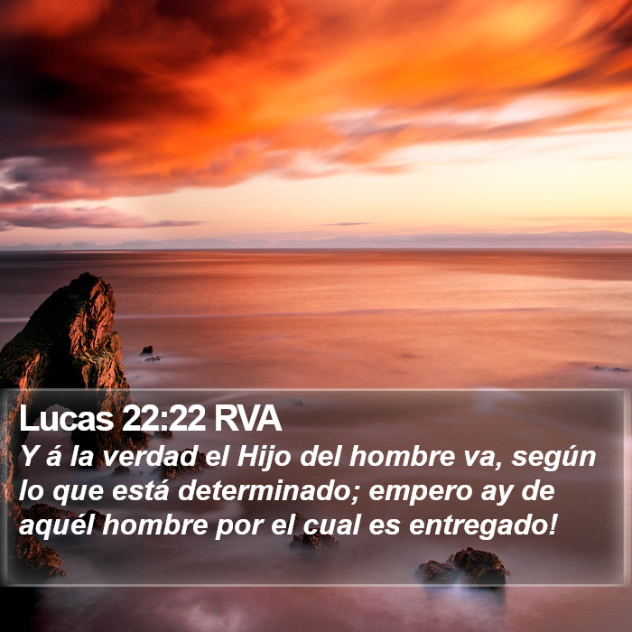 Lucas 22:22 RVA Bible Study