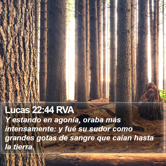 Lucas 22:44 RVA Bible Study