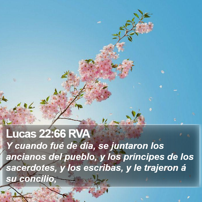 Lucas 22:66 RVA Bible Study