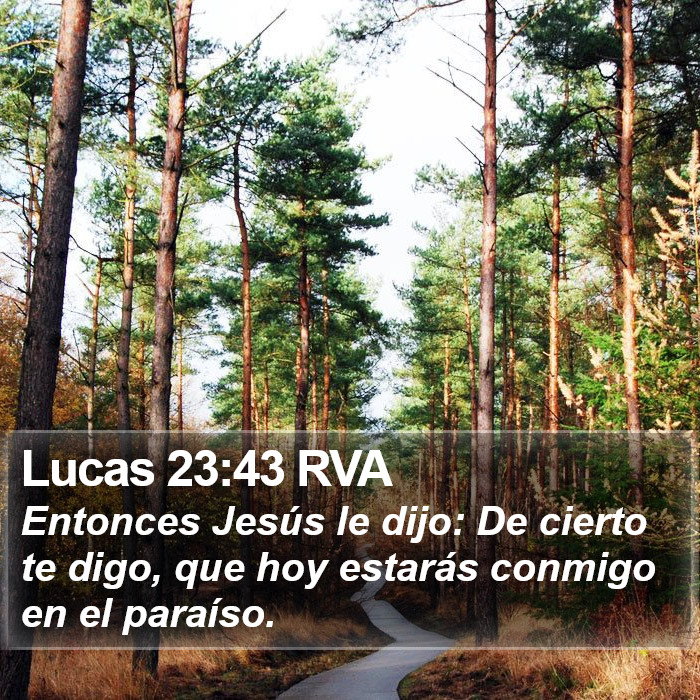 Lucas 23:43 RVA Bible Study