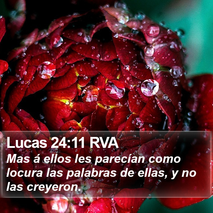 Lucas 24:11 RVA Bible Study