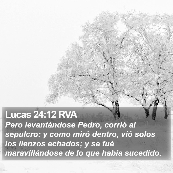 Lucas 24:12 RVA Bible Study