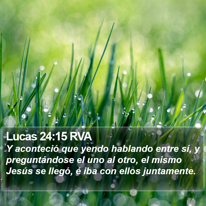 Lucas 24:15 RVA Bible Study